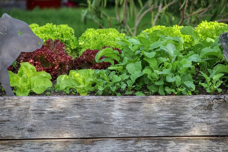 Tire Garden Bed
